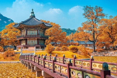 Hàn Quốc mùa thu: SEOUL - NAMI - EVERLAND 5N4Đ từ Đà Nẵng