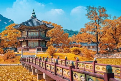 Tour Hàn Quốc mùa thu SEOUL Nami Everland 5N4D từ Đà Nẵng