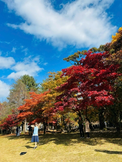 Tour Hàn Quốc mùa thu SEOUL Nami Everland 5N4D từ Đà Nẵng