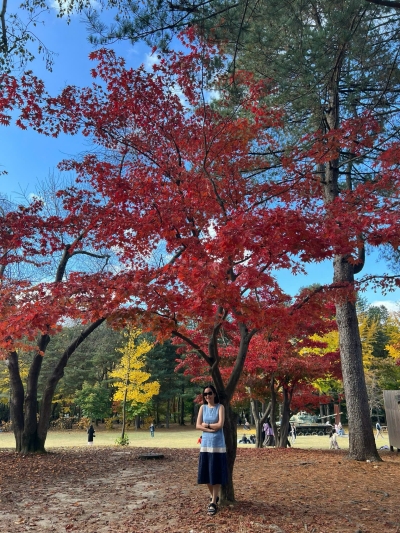 Tour Hàn Quốc mùa thu SEOUL Nami Everland 5N4D từ Đà Nẵng