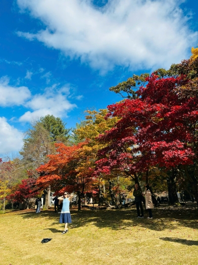 Tour Hàn Quốc mùa thu SEOUL Nami Everland 5N4D từ Đà Nẵng