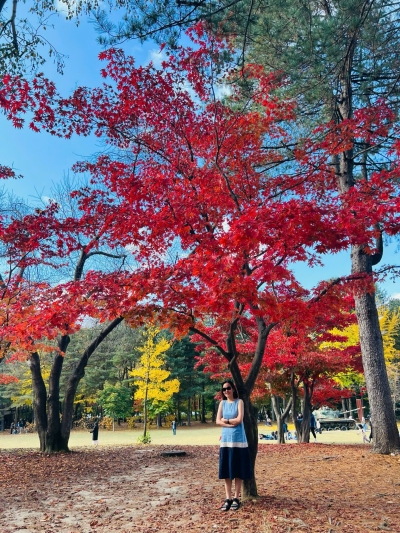 Tour Hàn Quốc mùa thu SEOUL Nami Everland 5N4D từ Đà Nẵng