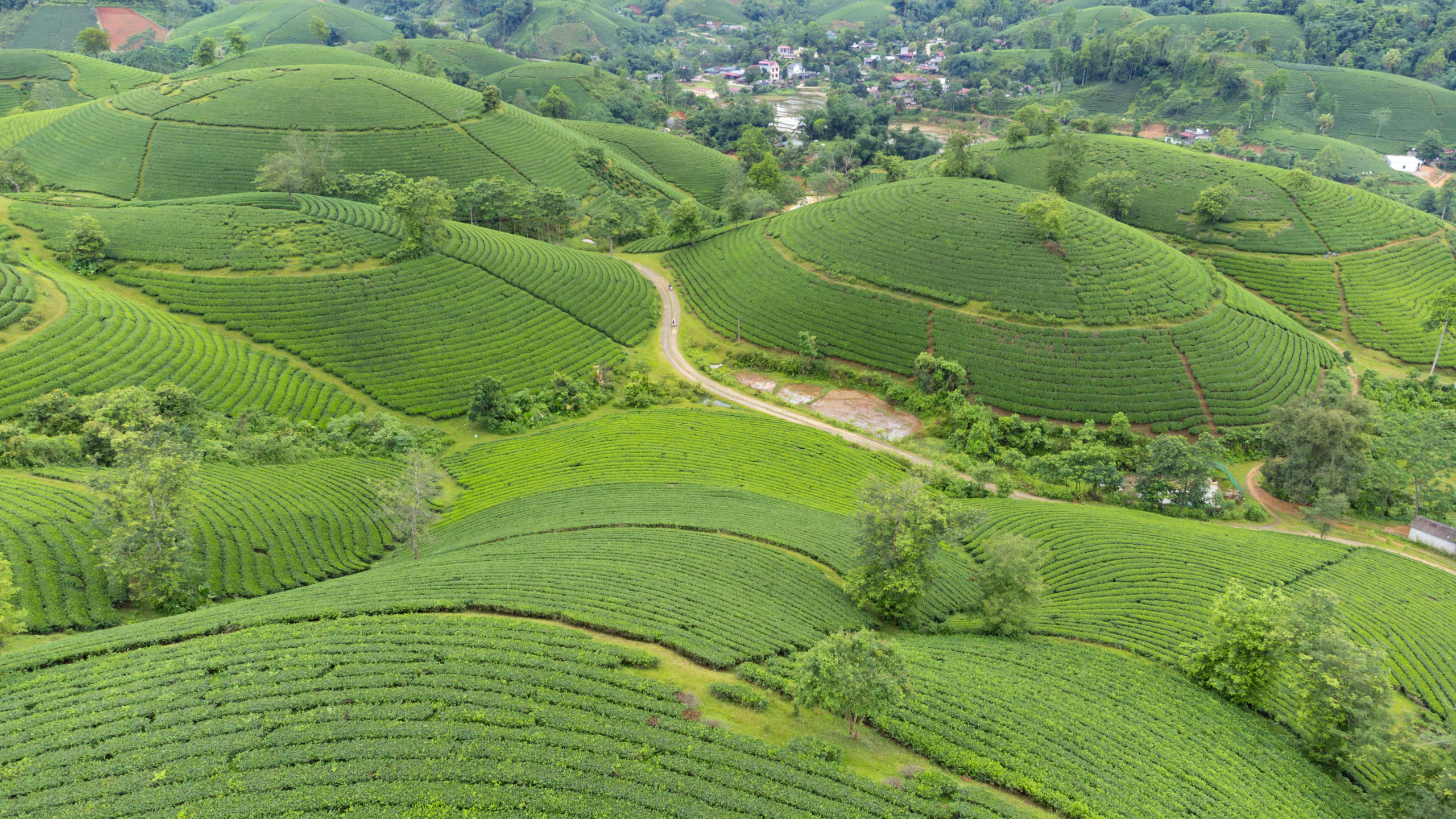 Những Điểm Đến Sinh Thái Độc Đáo Tại Cần Thơ